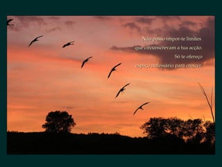 Não posso impor-te limitesNão posso impor-te limites
que circunscrevam a tua acção.que circunscrevam a tua acção.
Só te ofereçoSó te ofereço
espaço necessário para crescer.espaço necessário para crescer.
 