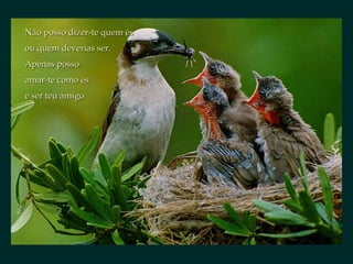 Não posso dizer-te quem ésNão posso dizer-te quem és
ou quem deverias ser.ou quem deverias ser.
Apenas possoApenas posso
amar-te como ésamar-te como és
e ser teu amigo.e ser teu amigo.
 