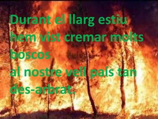 Durant el llarg estiu
hem vist cremar molts
boscos
al nostre vell país tan
des-arbrat.
 