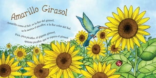 Amarillo como el Sol, es la flor del girasol,
Pica, pica picaflor, al gigante girasol,
se le acerca el picaflor, a la flor color del Sol.
apúrate picaflor, que te espera el girasol.
8 9
 