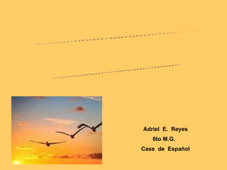 Adriel  E.  Reyes 6to M.G.  Case  de  Español POEMARIO ELECTRÓNICO !LOS PAJAROS! 