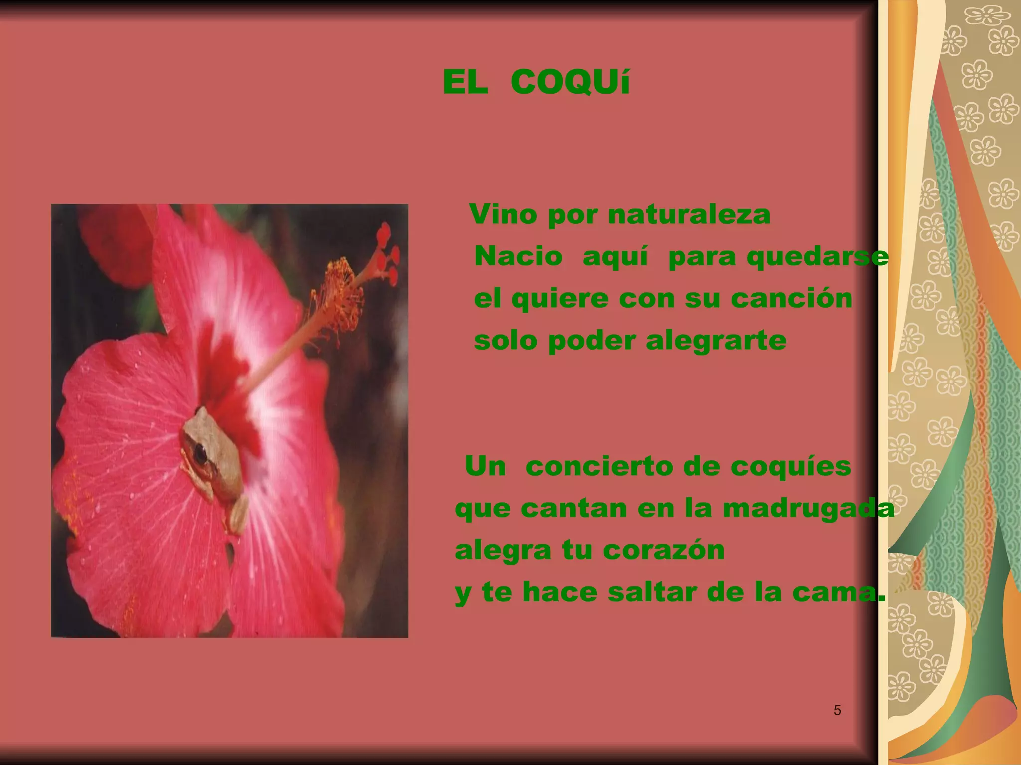 Vino por naturaleza Nacio aquí para quedarse el quiere con su canción solo poder alegrarte Un concierto de coquíes que cantan en la madrugada alegra tu corazón y te hace saltar de la cama. EL COQUí