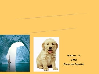 Marcos  J. 6 MG Clase de Español POEMARIO ELECTRÓNICO EL ANIMAL y la naturaleza 