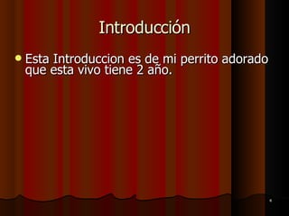 Introducción Esta Introduccion es de mi perrito adorado que esta vivo tiene 2 año.  