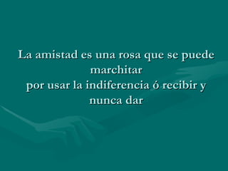 La amistad es una rosa que se puede marchitar por usar la indiferencia ó recibir y nunca dar 