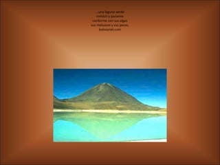 …una laguna verde
    inmóvil y paciente
 conforme con sus algas
sus moluscos y sus peces,
      bolivianet.com
 