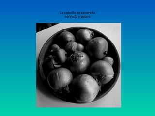 La cebolla es escarcha
   cerrada y pobre
 