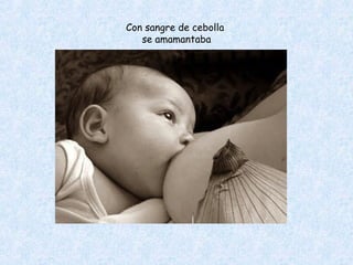 Con sangre de cebolla
   se amamantaba
 