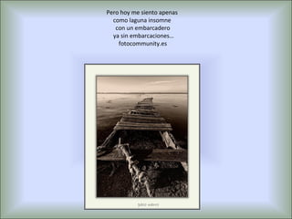 Pero hoy me siento apenas
  como laguna insomne
   con un embarcadero
  ya sin embarcaciones…
    fotocommunity.es
 