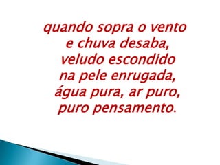 quando sopra o vento
e chuva desaba,
veludo escondido
na pele enrugada,
água pura, ar puro,
puro pensamento.
 