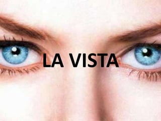 LA VISTA
 