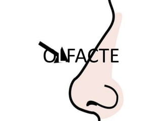OLFACTE
 