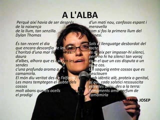 A L'ALBA
Perquè així havia de ser després
de la naixença
de la llum, tan senzilla.
Dylan Thomas
És tan recent el dia
que encara desconfia de les coses.
L’horitzó d’una mar llunyana es
daura
d’albes, alhora que es dauren les
sendes
c’una profunda aroma a
camamirla.
El món diu veritat des de l’olfacte.
Les mans temptegen el dubte dels
cossos
molt abans que els ocells celebren
el prodigi
d’un matí nou, confosos espant i
meravella
com si fos la primera llum del
Gènesi.
Sols el llenguatge desbordat del
tacte
es deleix per imposar-hi silenci,
però no hi ha silenci tan voraç
com el que un cos disputa a un
altre cos.
Un saqueig entre cossos que es
desclouen
amb idèntic alè, proteix o genital,
al que cada solstici resssuscita
estrelles arrelades a la terra:
firmaments amb perfum de
camamirla.
ESCRIVÀ, MARIA JOSEP
 