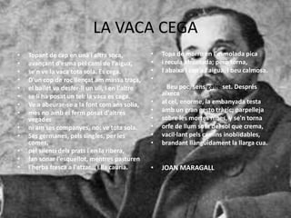 LA VACA CEGA
• Topant de cap en una i altra soca,
• avançant d'esma pel camí de l'aigua,
• se'n ve la vaca tota sola. Es cega.
• D'un cop de roc llençat am massa traça,
• el bailet va desfer-li un ull, i en l'altre
• se li ha posat un tel: la vaca es cega.
• Ve a abeurar-se a la font com ans solia,
• mes no amb el ferm posat d'altres
vegades
• ni am ses companyes, no: ve tota sola.
• Ses germanes, pels singles, per les
comes,
• pel silenci dels prats i en la ribera,
• fan sonar l'esquellot, mentres pasturen
• l'herba fresca a l'atzar... Ella cauria.
• Topa de morro en l'esmolada pica
• i recula afrontada; però torna,
• I abaixa'l cap a l'aigua, i beu calmosa.
•
Beu poc, sens gaire set. Després
aixeca
• al cel, enorme, la embanyada testa
• amb un gran gesto tràgic; parpelleja
• sobre les mortes nines, y se'n torna
• orfe de llum sota del sol que crema,
• vacil·lant pels camins inoblidables,
• brandant llànguidament la llarga cua.
• JOAN MARAGALL
 