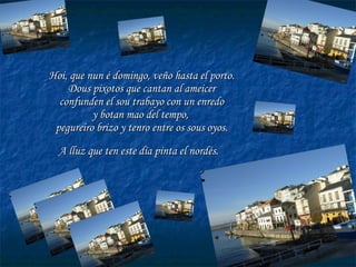 Hoi, que nun é domingo, veño hasta el porto. Dous pixotos que cantan al ameicer confunden el sou trabayo con un enredo y botan mao del tempo,  pegureiro brizo y tenro entre os sous oyos. A lluz que ten este día pinta el nordés.   
