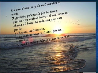 Un son d’azucre y de mel envolve a mañá. A gaviota qu’engala fendo xareo queima con muitos berros el sou brincar, chama al home da rula pra que nun peche y chegan, mollemente, compañeiras branco lleite, por un momento. Ningúa conta perderse a xanta pernal. 