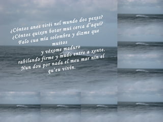 ¿Cóntos anos tiréi nel mundo dos pexes? ¿Cóntos quixen botar mui cerca d’aquí? Falo cua mía solombra y dizme que muitos y véxome maduro rabilando firme y mudo entre a xente. Nun dou por nada el meu mar nin el qu’eu vivín.  
