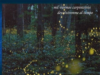 mil viermos carpinteiros devolvéronme al tempo 