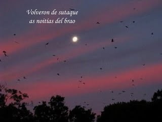 Volveron de sutaque as noitías del brao 