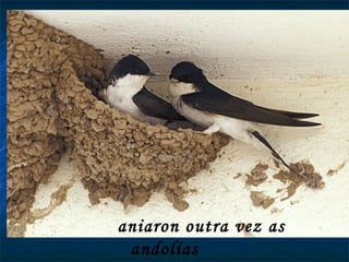 aniaron outra vez as andolías 