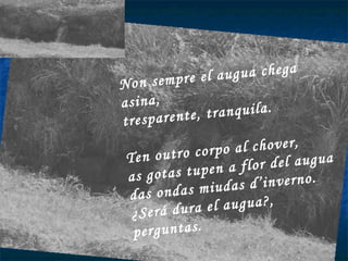 Non sempre el augua chega asina, tresparente, tranquila. Ten outro corpo al chover, as gotas tupen a flor del augua  das ondas miudas d’inverno. ¿Será dura el augua?, perguntas. 