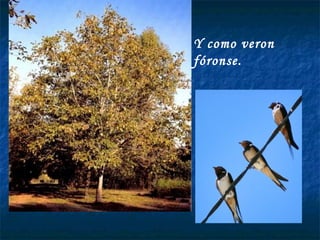 Y como veron fóronse. 