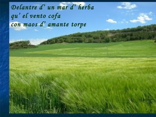 Delantre d’ un mar d’ herba qu’ el vento cofa  con maos d’ amante torpe 