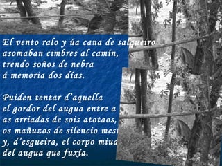 El vento ralo y úa cana de salgueiro asomaban cimbres al camín, trendo soños de nebra á memoria dos días. Puiden tentar d’aquella el gordor del augua entre a nebra; as arriadas de sois atotaos, os mañuzos de silencio mesto; y, d’esgueira, el corpo miudo del augua que fuxía. 