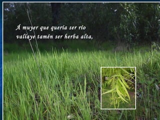 Á muyer que quería ser río  valíaye tamén ser herba alta, 