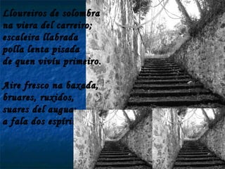 Lloureiros de solombra na viera del carreiro; escaleira llabrada polla lenta pisada de quen vivíu primeiro. Aire fresco na baxada, bruares, ruxidos, suares del augua; a fala dos espíritus. 