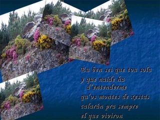 Eu ben sei que tou sola y que naide ha d’entenderme qu’os montes de xestas calarán pra sempre el que viviron 
