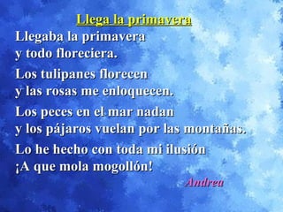 Llega la primaveraLlega la primavera
Llegaba la primaveraLlegaba la primavera
y todo floreciera.y todo floreciera.
Los tulipanes florecenLos tulipanes florecen
y las rosas me enloquecen.y las rosas me enloquecen.
Los peces en el mar nadanLos peces en el mar nadan
y los pájaros vuelan por las montañas.y los pájaros vuelan por las montañas.
Lo he hecho con toda mi ilusiónLo he hecho con toda mi ilusión
¡A que mola mogollón!¡A que mola mogollón!
AndreaAndrea
 