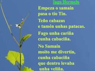 Iago Hermelo
Empeza o samaín
pasa o tío Tin.
Teño cabazas
e tamén unhas patacas.
Fago unha cariña
cunha cabaciña.
No Samaín
moito me divertín,
cunha cabaciña
que dentro levaba
unha veliña.
 