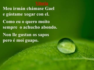 Vitoria
Meu irmán chámase Gael
e gústame xogar con el.
Como eu o quero moito
sempre o achucho abondo.
Non lle gustan os sapos
pero é moi guapo.
 