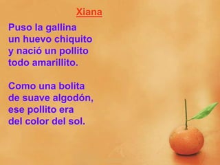 Xiana
Puso la gallina
un huevo chiquito
y nació un pollito
todo amarillito.
Como una bolita
de suave algodón,
ese pollito era
del color del sol.
 