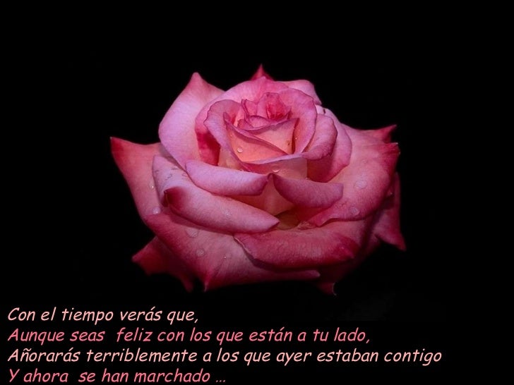 Poemas con-flores