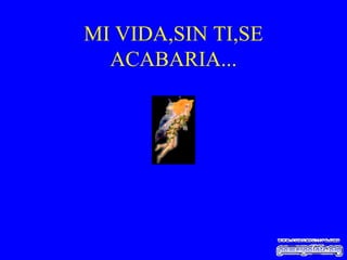 MI VIDA,SIN TI,SE ACABARIA... 