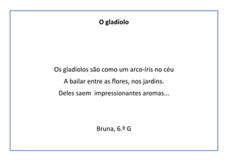 O gladíolo
Os gladíolos são como um arco-íris no céu
A bailar entre as flores, nos jardins.
Deles saem impressionantes aromas...
Bruna, 6.º G
 