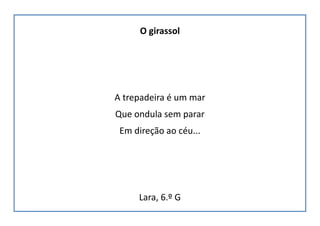 O girassol
A trepadeira é um mar
Que ondula sem parar
Em direção ao céu...
Lara, 6.º G
 