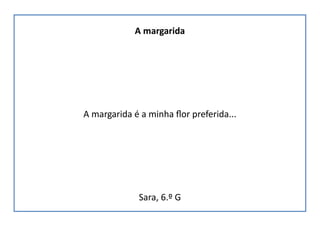 A margarida
A margarida é a minha flor preferida...
Sara, 6.º G
 