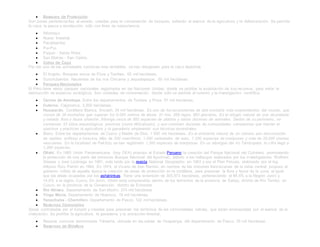  Bosques de Protección
Son zonas pertenecientes al estado, creadas para la conservación de bosques, evitando el avance de la agricultura y la deforestación. Se permite
la caza, la pesca y recolección, sólo con fines de subsistencia.
 Altomayo.
 Nuevo Imperial.
 Pacaibamba.
 Pui-Pui.
 Puquio - Santa Rosa.
 San Matías - San Carlos.
 Cotos de Caza
Por ser una de las actividades turísticas más rentables, se han designado para la caza deportiva.
 El Angolo. Bosques secos de Piura y Tumbes. 65 mil hectáreas.
 Sunchubamba. Nacientes de los ríos Chicama y Jequetepeque. 60 mil hectáreas.
 Parques Nacionales
El Perú tiene varios parques nacionales registrados en las Naciones Unidas; donde se prohibe la explotación de sus recursos, para evitar la
destrucción de espacios ecológicos. Son unidades de conservación, donde sólo se permite el turismo y la investigación científica.
 Cerros de Amotape. Entre los departamentos de Tumbes y Piura. 91 mil hectáreas.
 Cutervo. Cajamarca. 2,500 hectáreas.
 Huascarán. Cordillera Blanca, Ancash. 34 mil hectáreas. Es uno de los ecosistemas de alta montaña más sorprendentes del mundo, que
consta de 26 montañas que superan los 6.000 metros de altura. 41 ríos. 269 lagos. 663 glaciares. Es el refugio natural de una abundante
y variada flora y fauna silvestre. Alberga cerca de 800 especies de plantas y varias docenas de animales. Dentro de su perímetro, se
conservan 33 sitios arqueológicos preíncas (como Wilcahuaín), y aun conviven docenas de comunidades campesinas que hablan el
quechua y practican la agricultura y la ganadería empleando sus técnicas ancestrales.
 Manu. Entre los departamentos de Cusco y Madre de Dios. 1´500 mil hectáreas. Es el ambiente natural de un número aún desconocido
de reptiles, anfibios e insectos. Más de 200 mamíferos. 1,000 variedades de aves. 1,200 especies de mariposas y más de 20,000 plantas
vasculares. En la localidad de Pakitza, se han registrado 1,300 especies de mariposas. En un albergue del río Tambopata, la c ifra llegó a
1,260 especies.
 Otishi. En 1965 Unión Panamericana, (hoy OEA) propuso al Estado Peruano la creación del Parque Nacional del Cutivireni, promoviendo
la protección de una parte del entonces Bosque Nacional del Apurímac; debido a los hallazgos realizados por los investigadores Wolfram
Drewes y José Lizárraga en 1961, más tarde por la revista National Geographic en 1963 y por el Plan Peruvia, elaborado por el Ing.
Alfonso Rizo Patrón en 1964. En 1974, el Vicario de San Ramón, en nombre de las misiones franciscanas de la selva central, propuso al
gobierno militar de aquella época la creación de áreas de protección en la cordillera, para preservar la flora y fauna de la zona, al igual
que las áreas ocupadas por los asháninkas. Tiene una extensión de 305,973 hectáreas, perteneciendo el 84.5% a la Región Junín y
14,5% a la región Cusco. En Junín, Otishi está comprendido dentro de los territorios de la provincia de Satipo, distrito de Río Tambo; en
Cusco, en la provincia de la Convención, distrito de Echarate.
 Río Abiseo. Departamento de San Martín. 274 mil hectáreas
 Tingo María. Departamento de Huánuco. 18 mil hectáreas.
 Yanachaba - Chemillen. Departamento de Pasco. 122 mil hectáreas.
 Reservas Comunales
Zonas controladas por el Estado y creadas para preservar los territorios de las comunidades nativas, que están amenazadas por el avance de la
civilización. Se prohibe la agricultura, la ganadería y la extracción forestal.
 Reserva comunal denominada Yánesha, ubicada en las selvas de Oxapampa, del departamento de Pasco. 35 mil hectáreas.
 Reservas de Biósfera
 