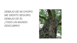 DEBAJO DE MI CHOPO
ME SIENTO SEGURO,
DEBAJO DE ÉL
¡TODO UN MUNDO
DESCUBRO!
 