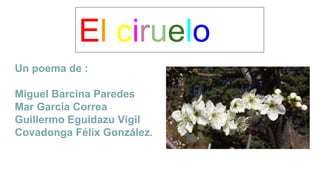 Un poema de :
Miguel Barcina Paredes
Mar García Correa
Guillermo Eguidazu Vigil
Covadonga Félix González.
El ciruelo
 