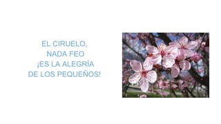 EL CIRUELO,
NADA FEO
¡ES LA ALEGRÍA
DE LOS PEQUEÑOS!
 