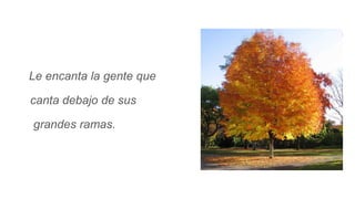 Le encanta la gente que
canta debajo de sus
grandes ramas.
 