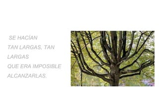 SE HACÍAN
TAN LARGAS, TAN
LARGAS
QUE ERA IMPOSIBLE
ALCANZARLAS.
 