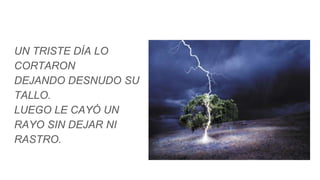 UN TRISTE DÍA LO
CORTARON
DEJANDO DESNUDO SU
TALLO.
LUEGO LE CAYÓ UN
RAYO SIN DEJAR NI
RASTRO.
 