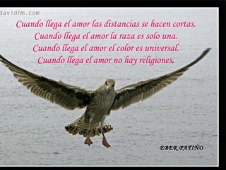 Cuando llega el amor las distancias se hacen cortas. Cuando llega el amor la raza es solo una. Cuando llega el amor el color es universal. Cuando llega el amor no hay religiones . EBER PATIÑO 