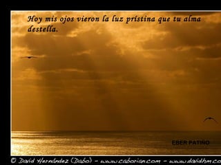 Hoy mis ojos vieron la luz prístina que tu alma destella. EBER PATIÑO 