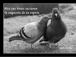 Hoy tus besos saciaron  la angustia de tu espera . EBER PATIÑO 